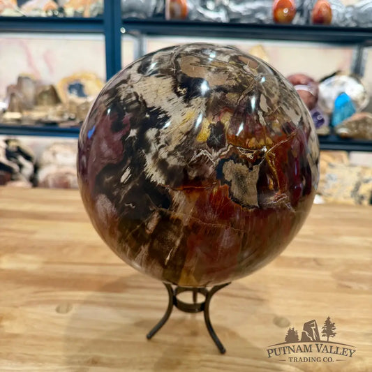 Reserve Hand-Carved Madagascar Petrified Wood Sphere 8.5’’ Sphere