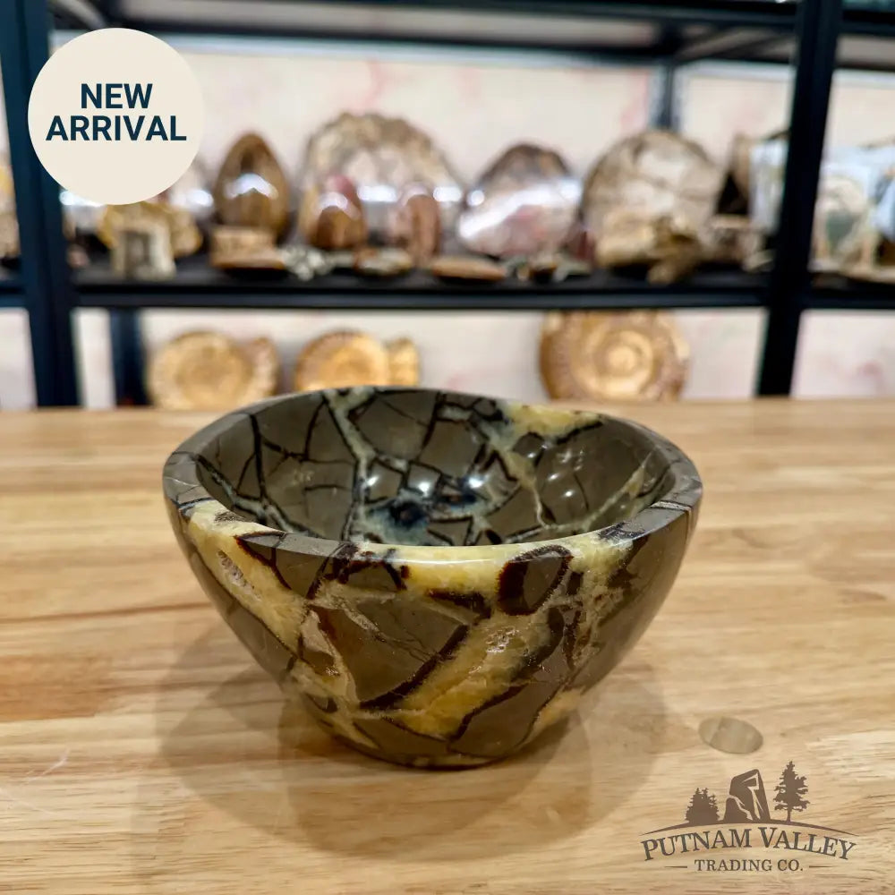 Reserve Handcrafted Madagascar Septarian Bowl Bowl