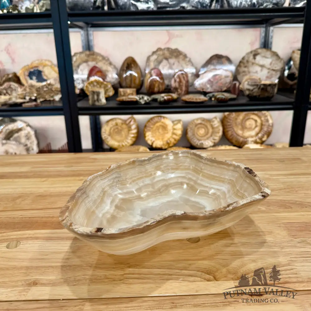 Reserve Mexican Onyx Rustic Bowl Bowl