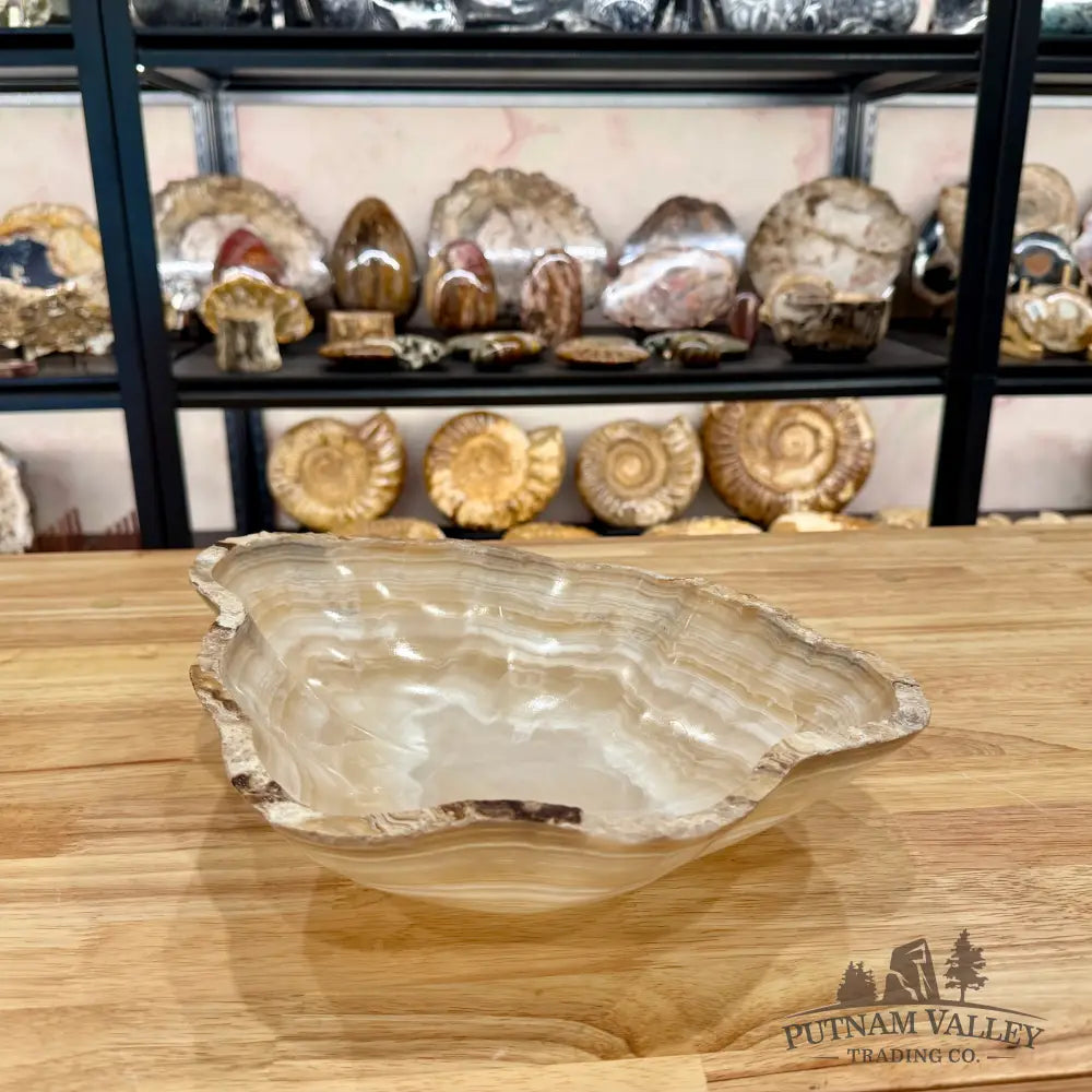 Reserve Mexican Onyx Rustic Bowl Bowl