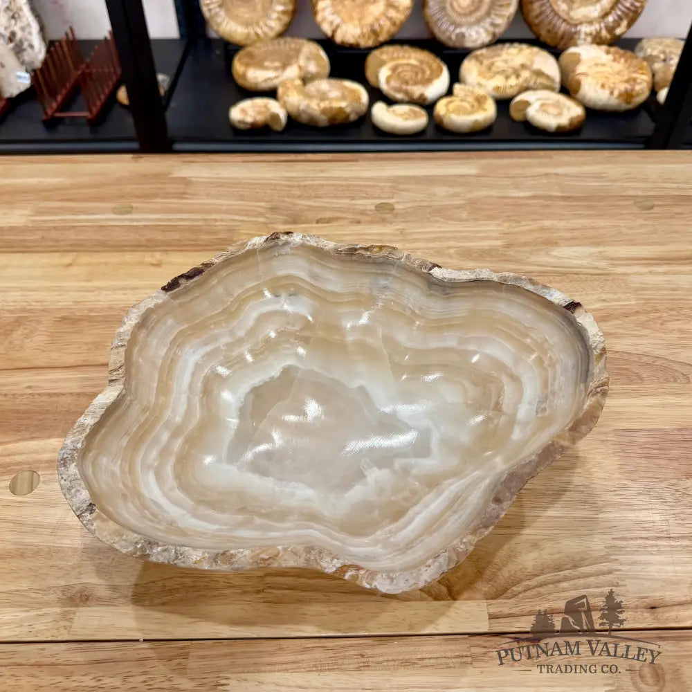 Reserve Mexican Onyx Rustic Bowl Bowl