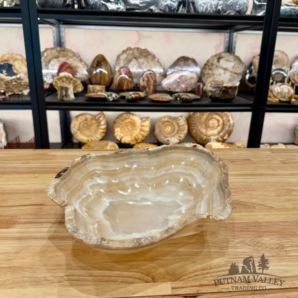 Reserve Mexican Onyx Rustic Bowl Bowl