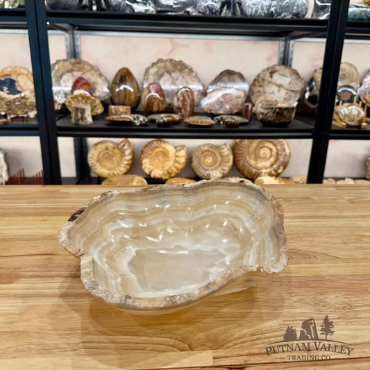 Reserve Mexican Onyx Rustic Bowl Bowl