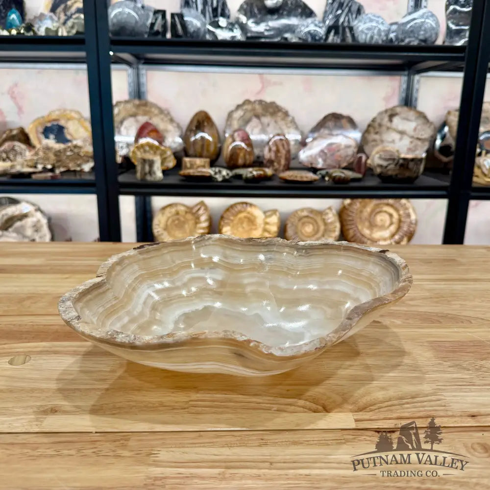 Reserve Mexican Onyx Rustic Bowl Bowl