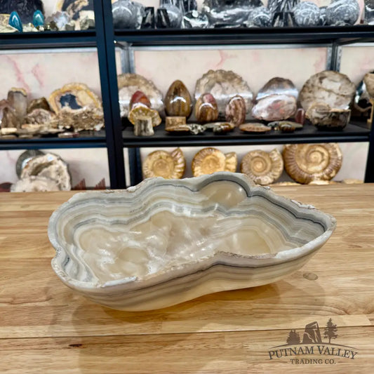 Reserve White Mexican Onyx Bowl Bowl