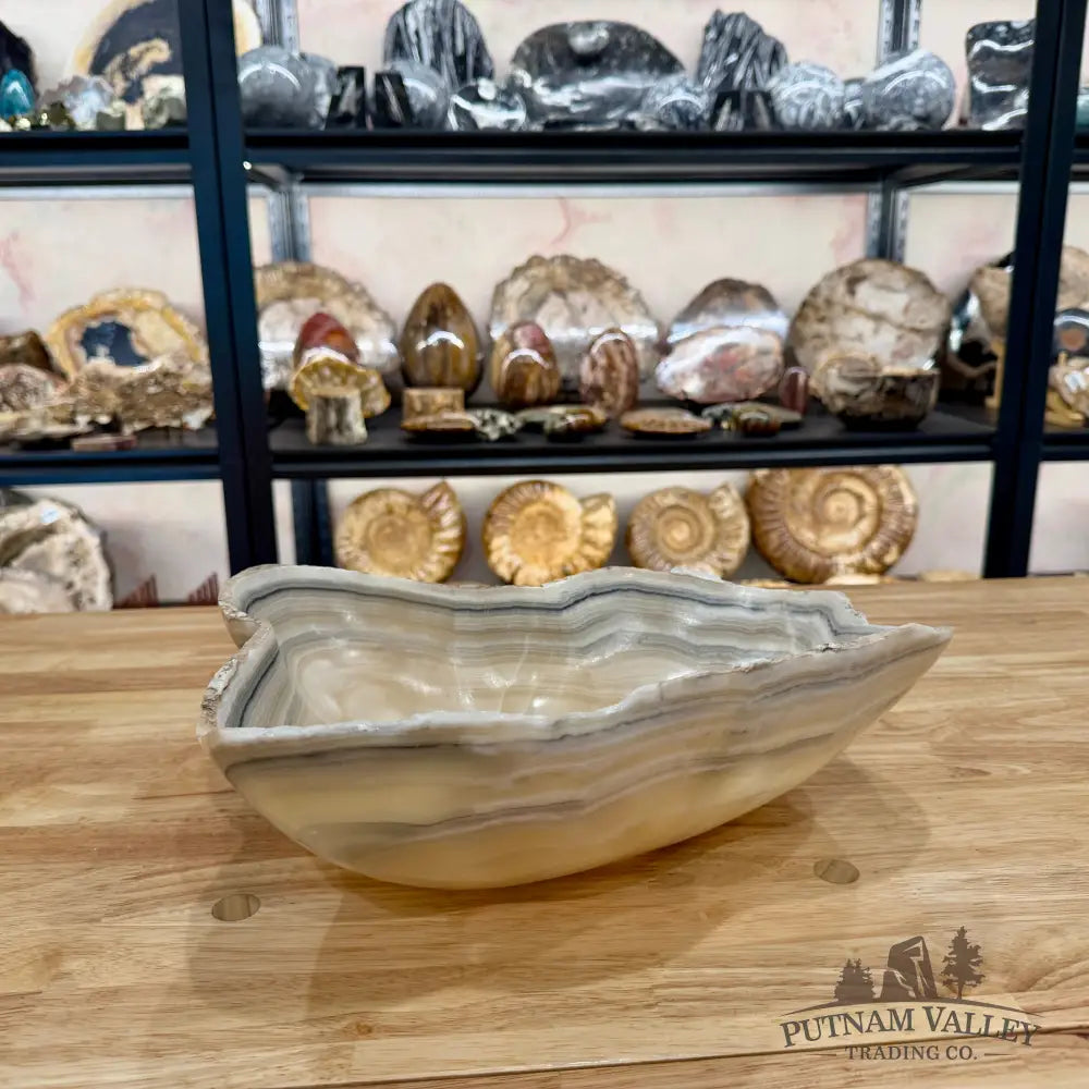 Reserve White Mexican Onyx Bowl Bowl