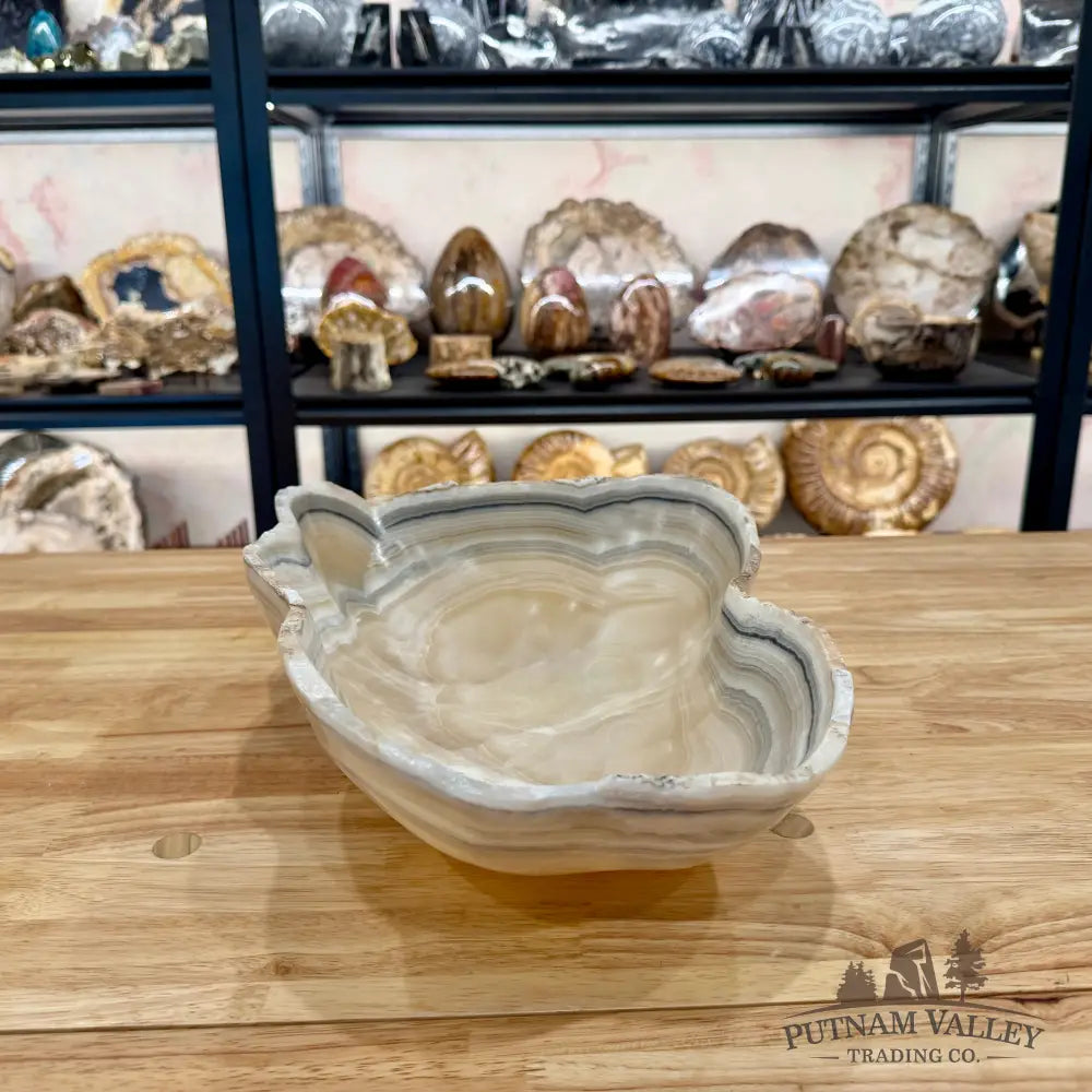 Reserve White Mexican Onyx Bowl Bowl
