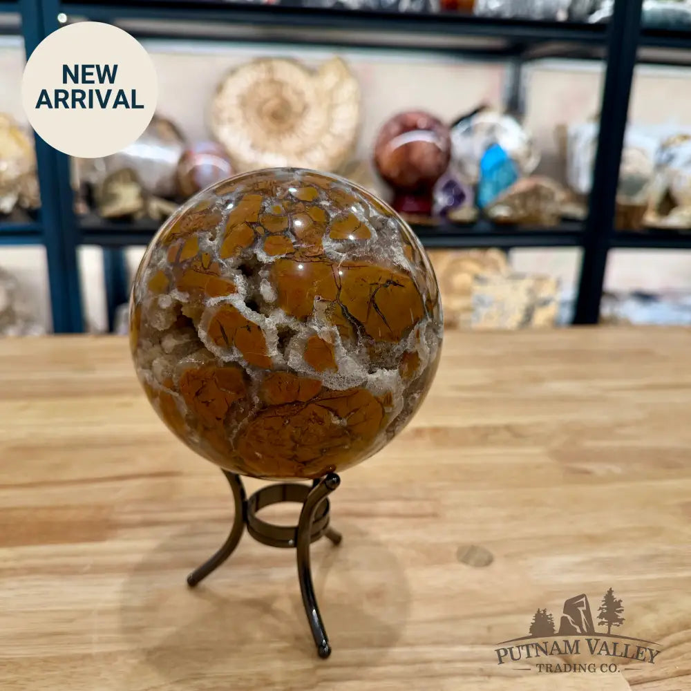 Reserve Indonesian Brecciated Jasper ’Agate’ Sphere 5.12’’ Sphere