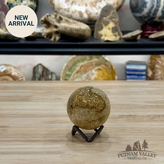 Reserve Indonesian Fossil Coral Sphere 2.28’’ - Sphere