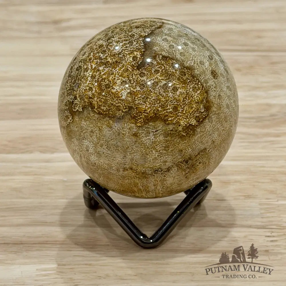Reserve Indonesian Fossil Coral Sphere 2.28’’ - Sphere