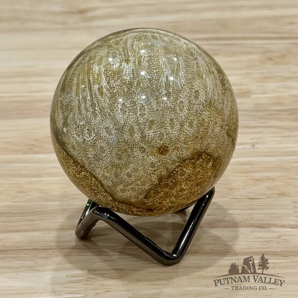 Reserve Indonesian Fossil Coral Sphere 2.28’’ - Sphere