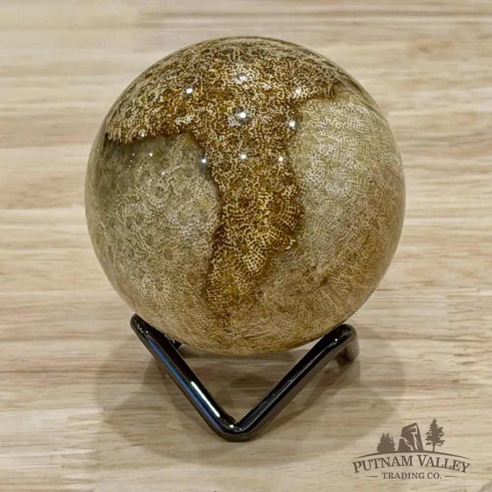 Reserve Indonesian Fossil Coral Sphere 2.28’’ - Sphere