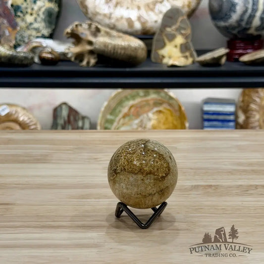 Reserve Indonesian Fossil Coral Sphere 2.28’’ - Sphere