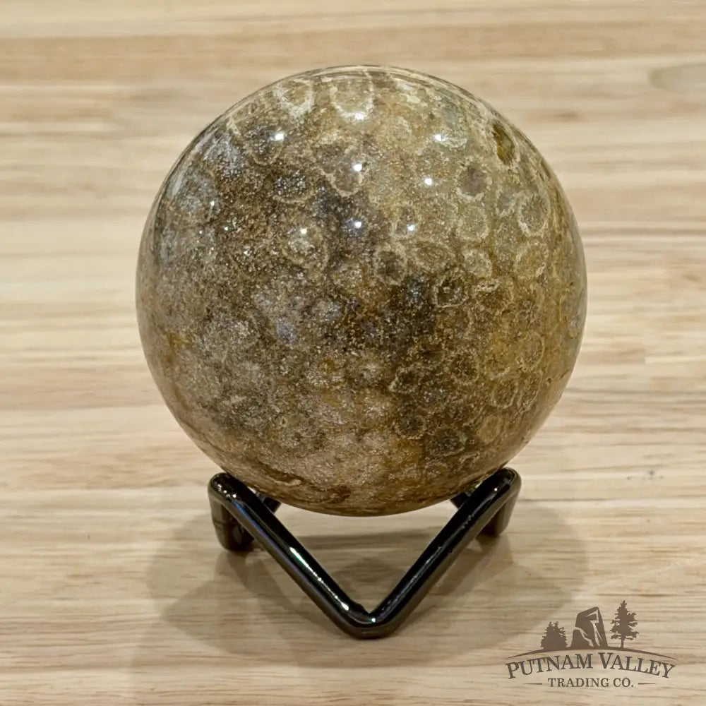 Reserve Indonesian Fossil Coral Sphere 2.34’’ - Sphere