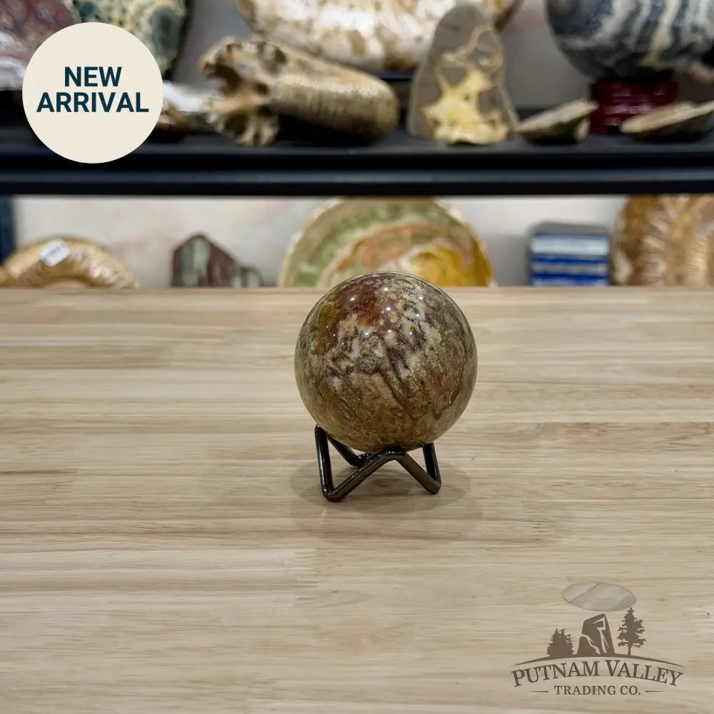 Reserve Indonesian Fossil Coral Sphere 2.34’’ - Sphere