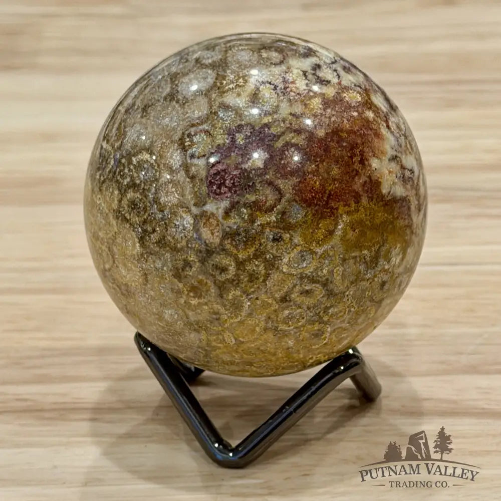Reserve Indonesian Fossil Coral Sphere 2.34’’ - Sphere