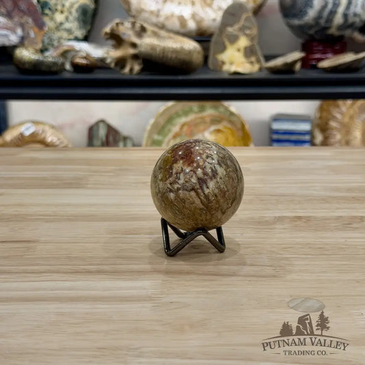 Reserve Indonesian Fossil Coral Sphere 2.34’’ - Sphere