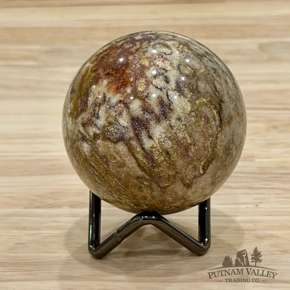 Reserve Indonesian Fossil Coral Sphere 2.34’’ - Sphere