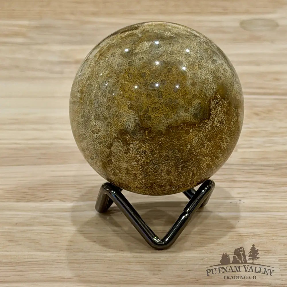 Reserve Indonesian Fossil Coral Sphere 2.37’’ - Sphere