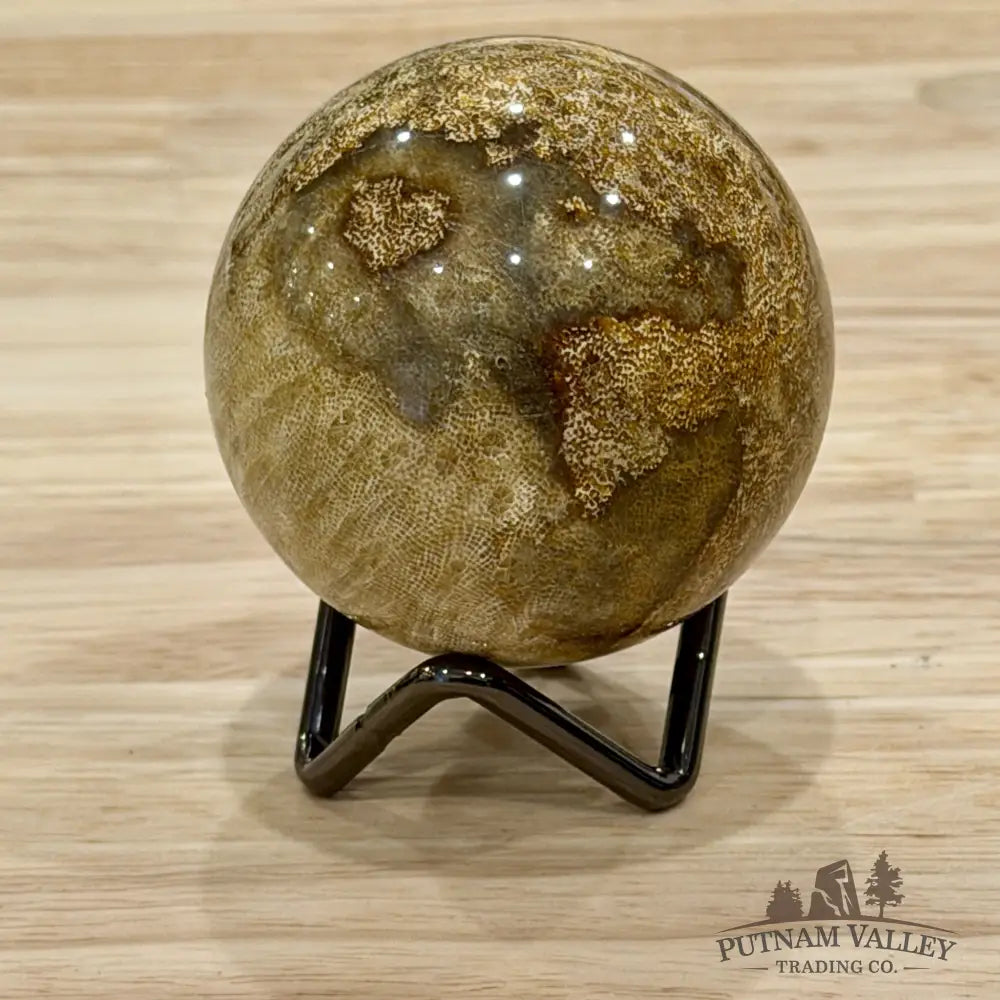 Reserve Indonesian Fossil Coral Sphere 2.37’’ - Sphere