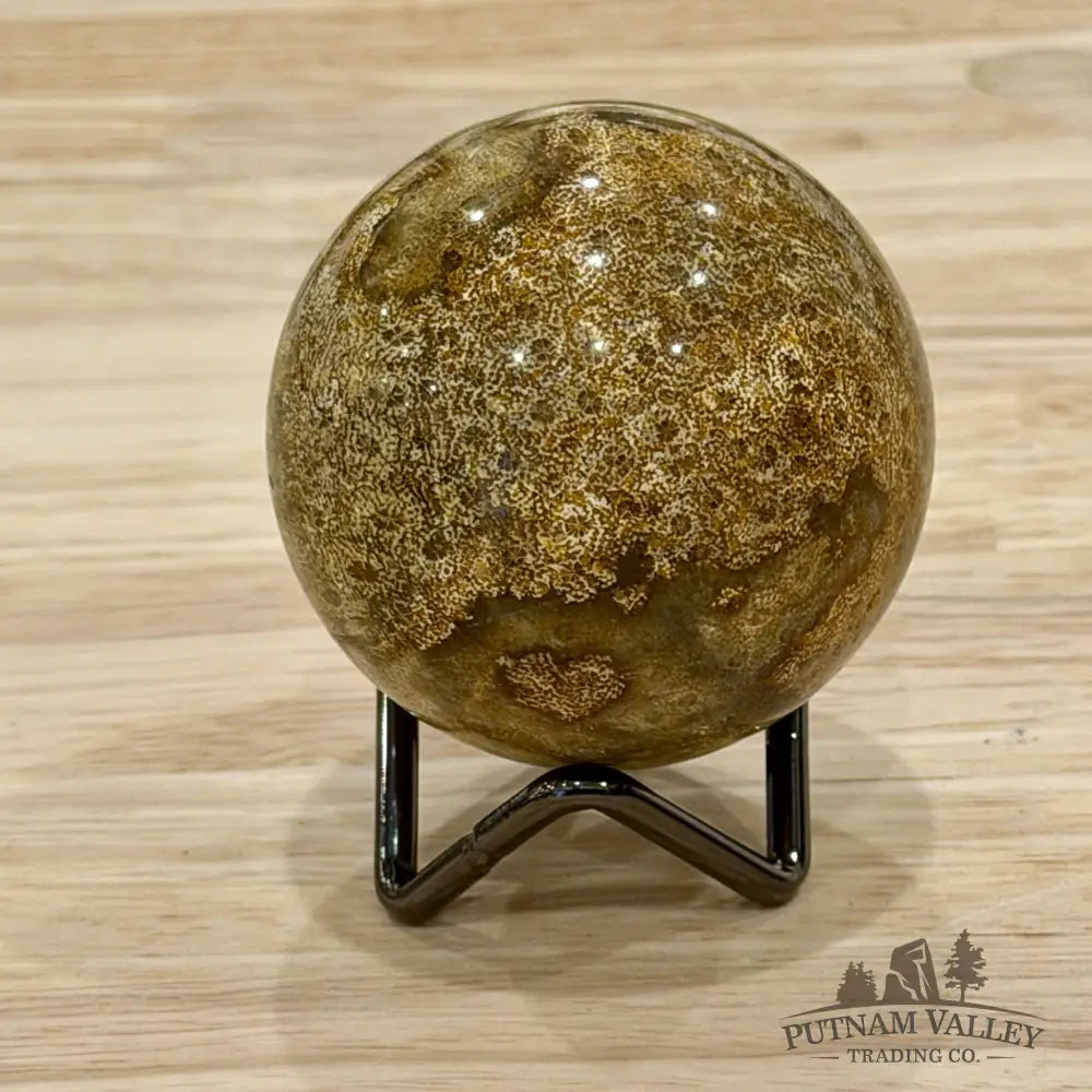Reserve Indonesian Fossil Coral Sphere 2.37’’ - Sphere