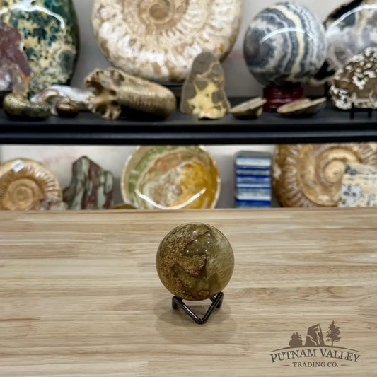 Reserve Indonesian Fossil Coral Sphere 2.37’’ - Sphere