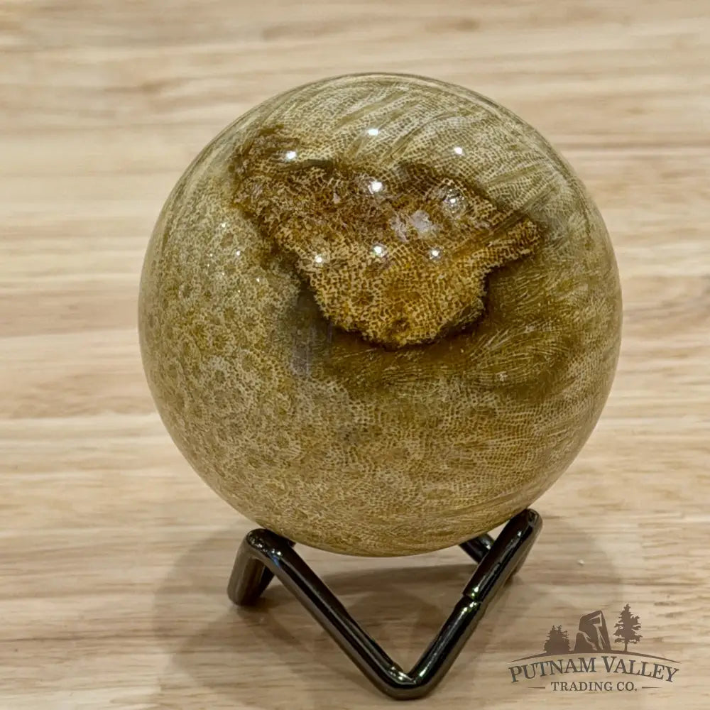 Reserve Indonesian Fossil Coral Sphere 2.49’’ - Sphere