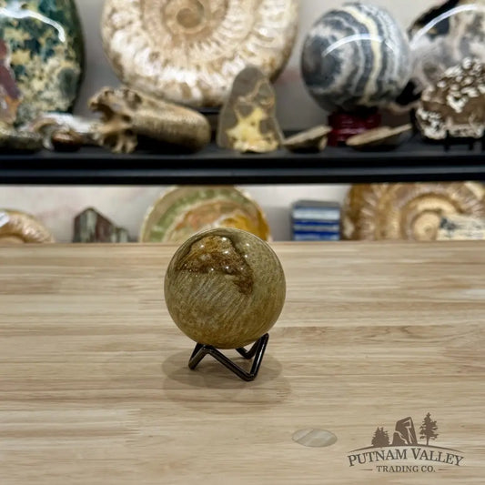 Reserve Indonesian Fossil Coral Sphere 2.49’’ - Sphere