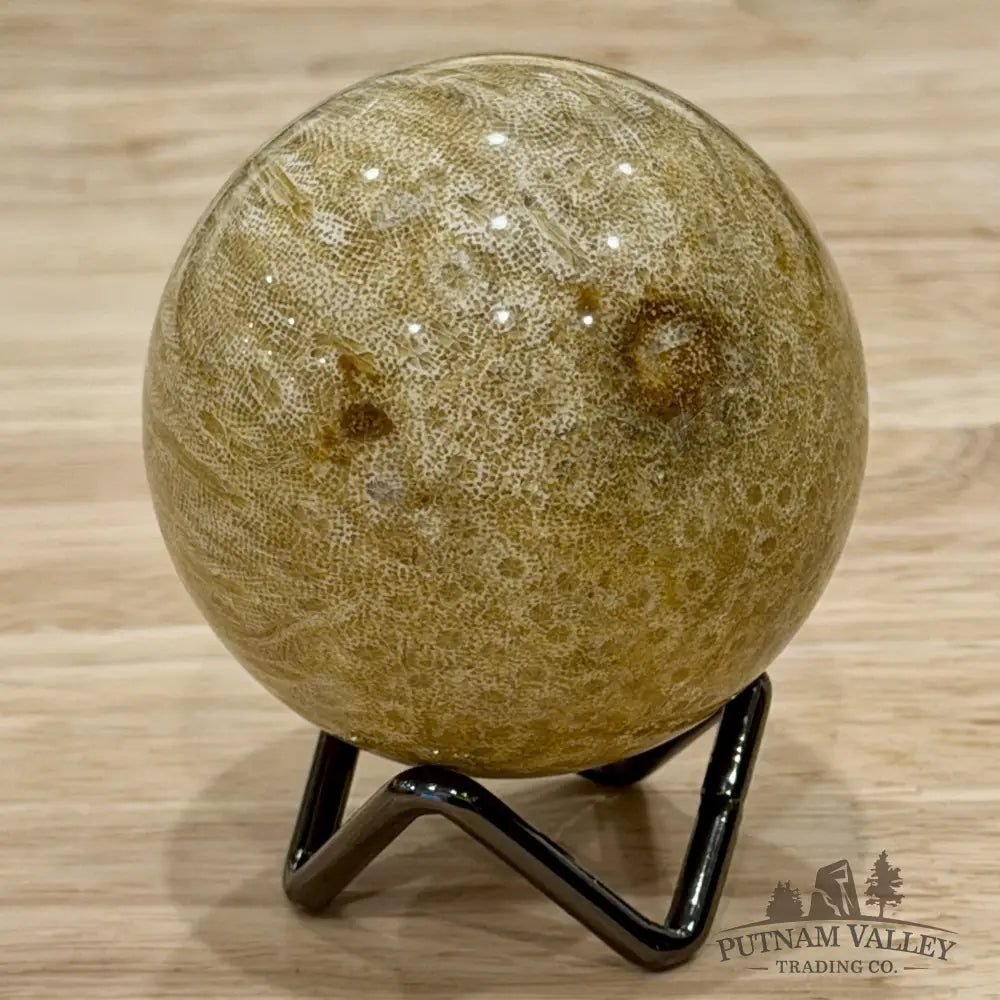 Reserve Indonesian Fossil Coral Sphere 2.49’’ - Sphere