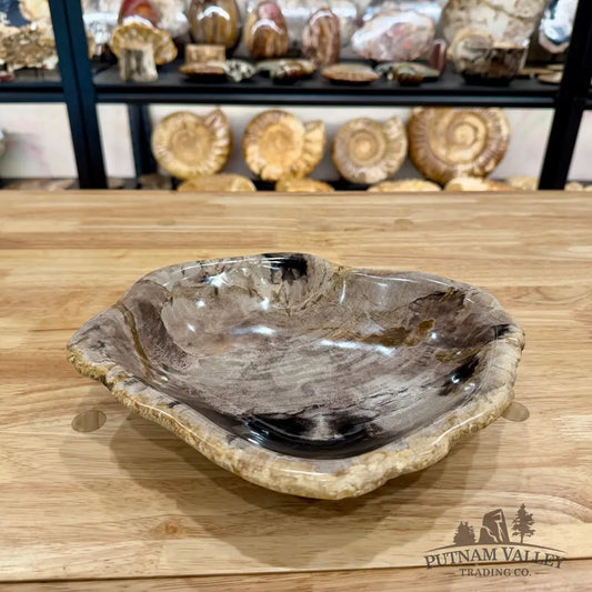 Reserve Indonesian Petrified Wood Bowl Plate
