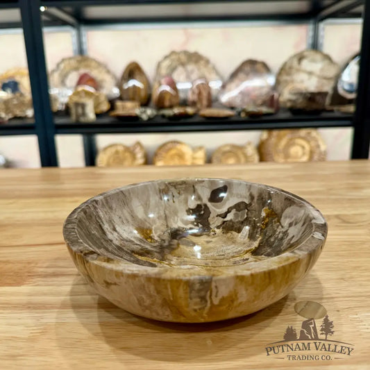 Reserve Indonesian Petrified Wood Bowl Plate