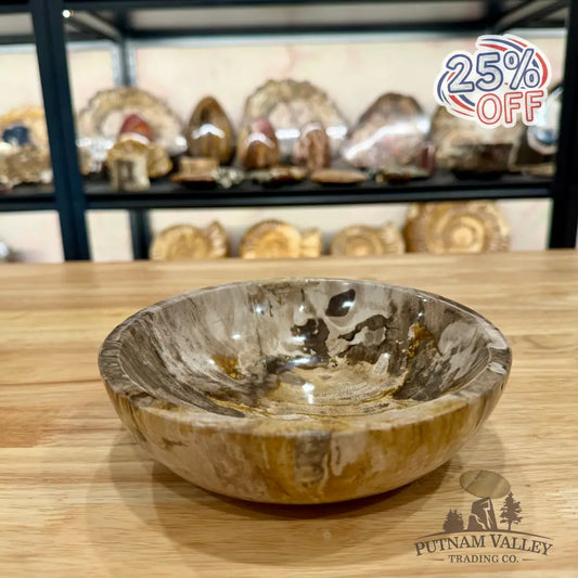 Reserve Indonesian Petrified Wood Bowl Plate