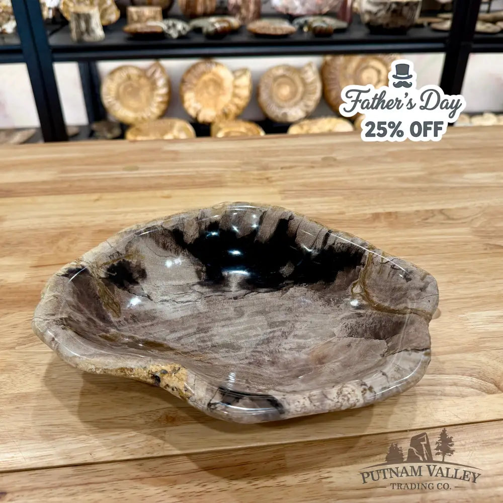 Reserve Indonesian Petrified Wood Bowl Plate