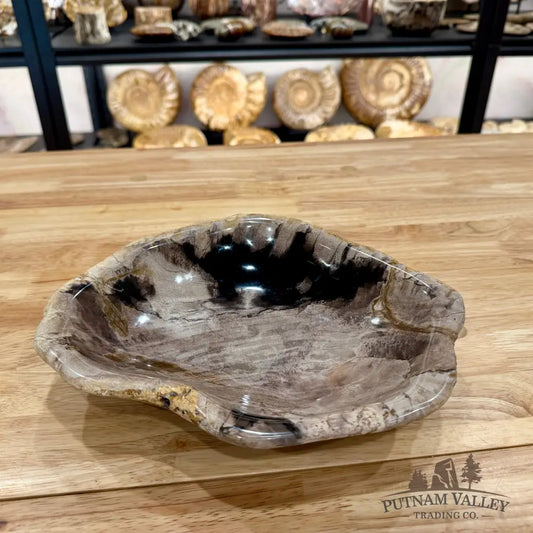 Reserve Indonesian Petrified Wood Bowl Plate