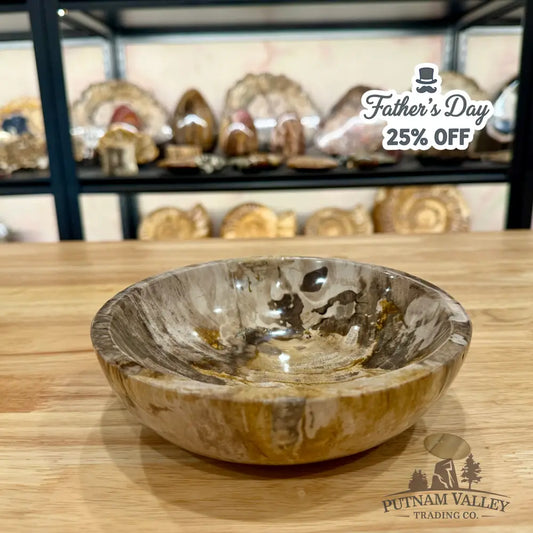 Reserve Indonesian Petrified Wood Bowl Plate