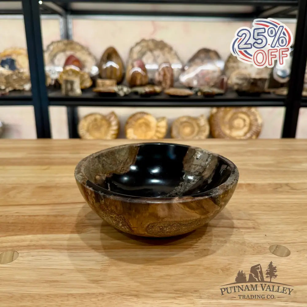 Reserve Indonesian Petrified Wood Bowl Plate