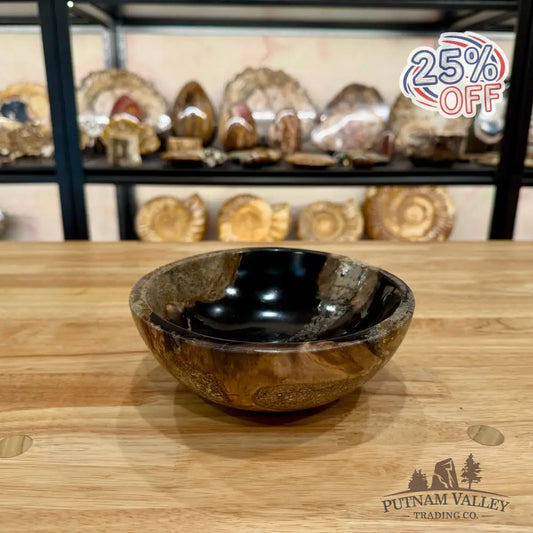 Reserve Indonesian Petrified Wood Bowl Plate