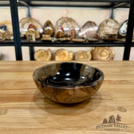 Reserve Indonesian Petrified Wood Bowl Plate