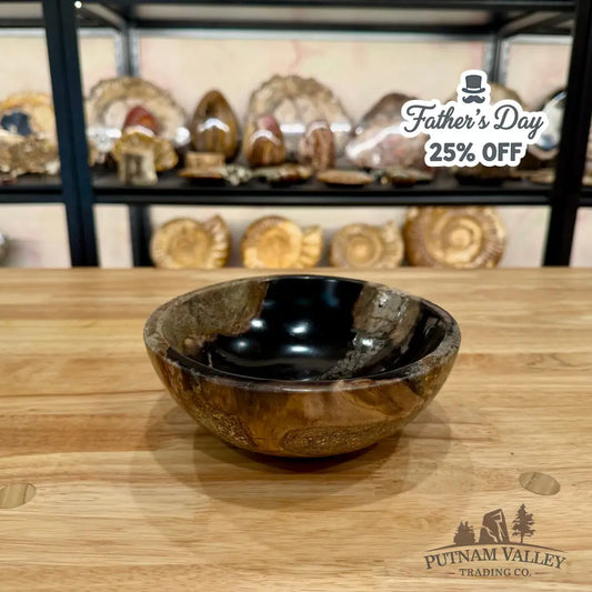 Reserve Indonesian Petrified Wood Bowl Plate