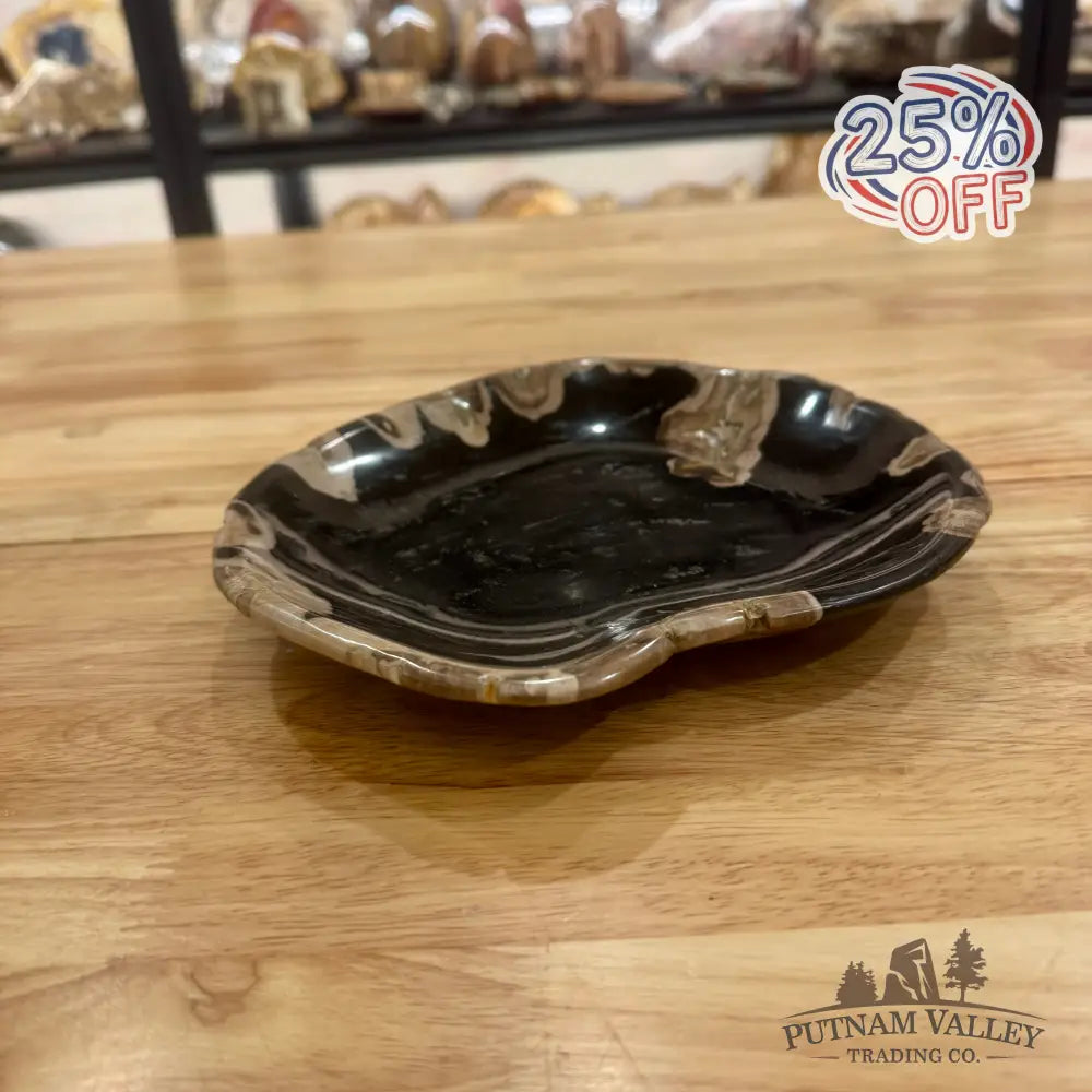 Reserve Indonesian Petrified Wood Plate Bowl