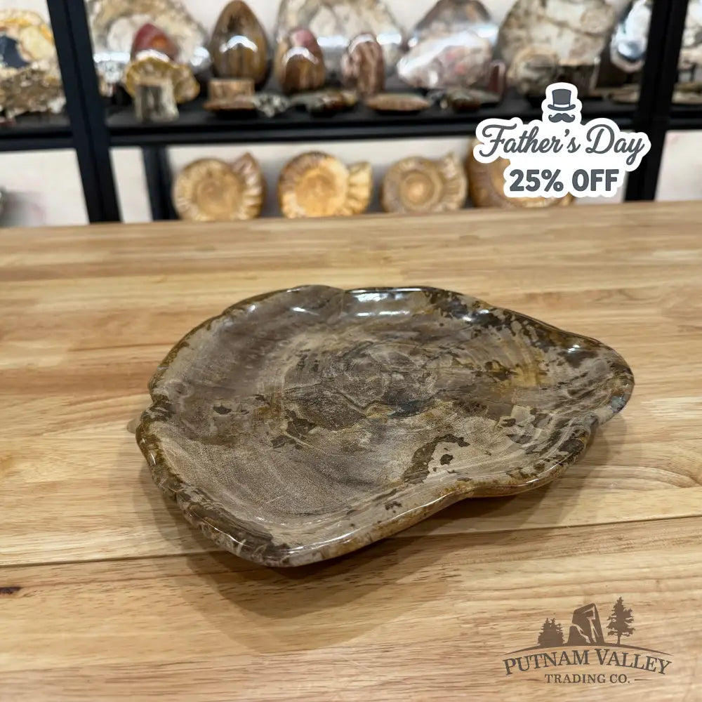 Reserve Indonesian Petrified Wood Plate Plate