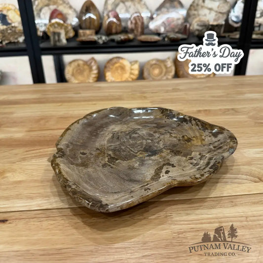 Reserve Indonesian Petrified Wood Plate Plate