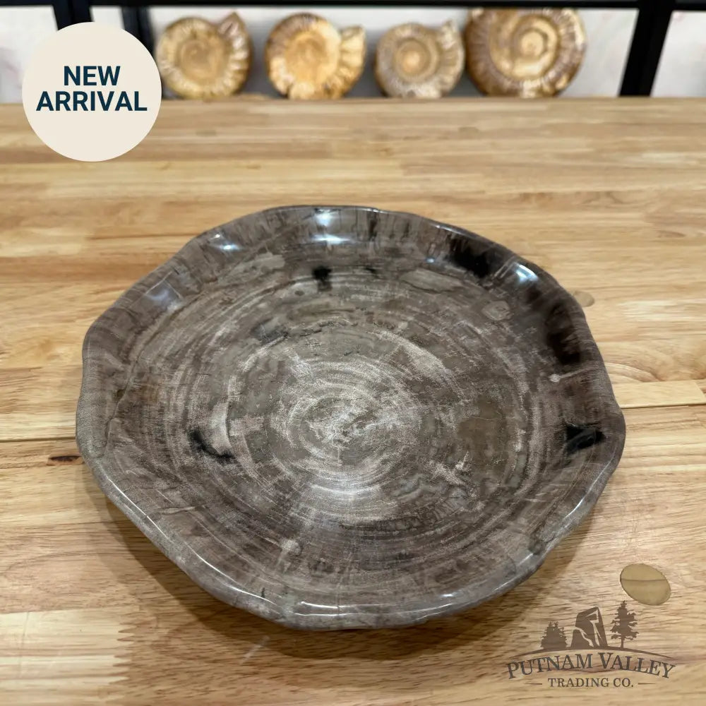 Reserve Indonesian Petrified Wood Plate Plate