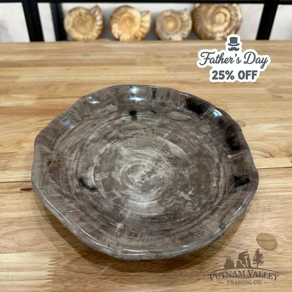Reserve Indonesian Petrified Wood Plate Plate