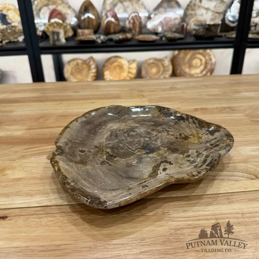 Reserve Indonesian Petrified Wood Plate Plate
