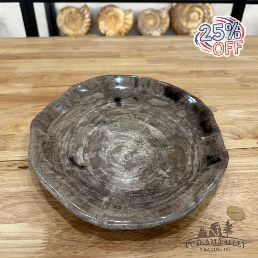 Reserve Indonesian Petrified Wood Plate Plate