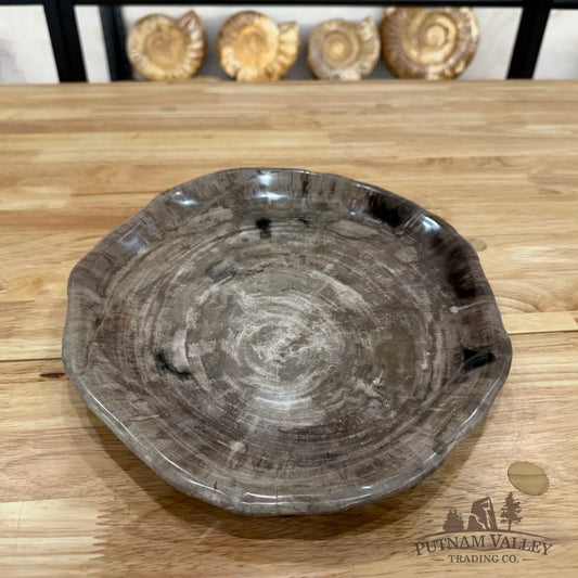 Reserve Indonesian Petrified Wood Plate Plate