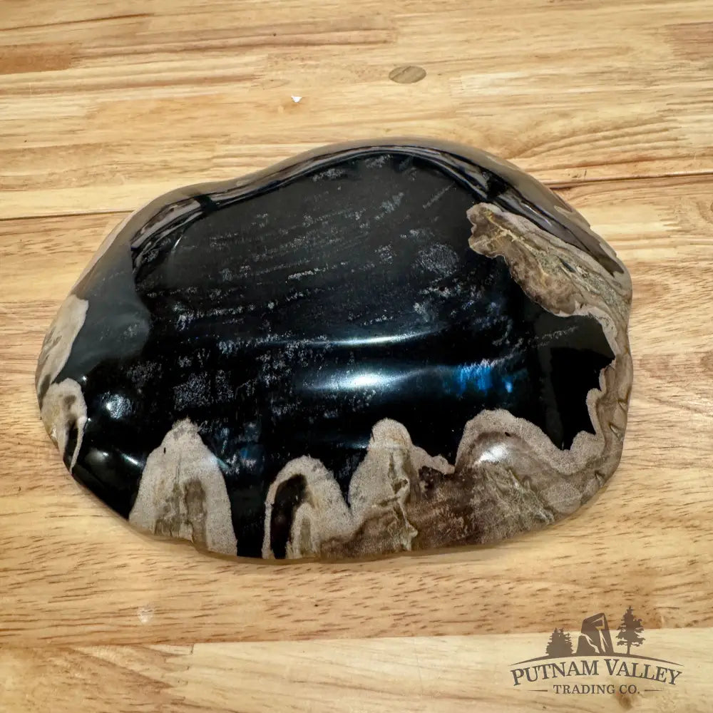 Reserve Indonesian Petrified Wood Plate Bowl