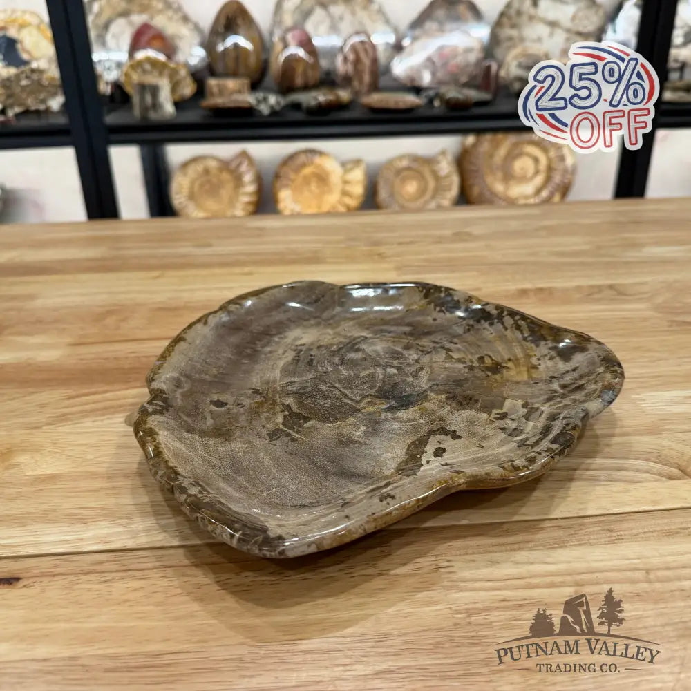 Reserve Indonesian Petrified Wood Plate Plate