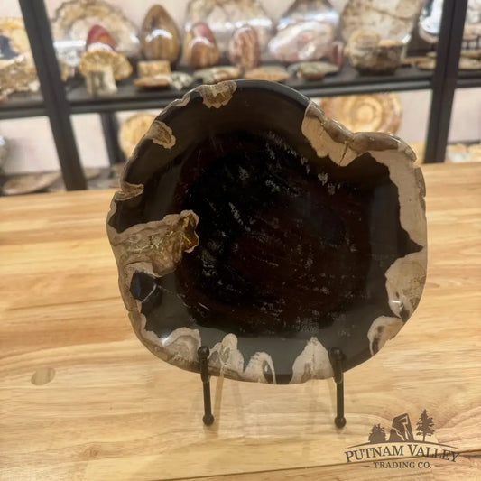 Reserve Indonesian Petrified Wood Plate Bowl